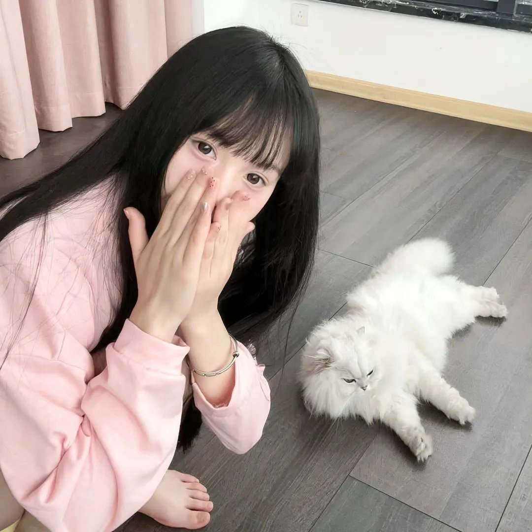 遇见莫妮卡